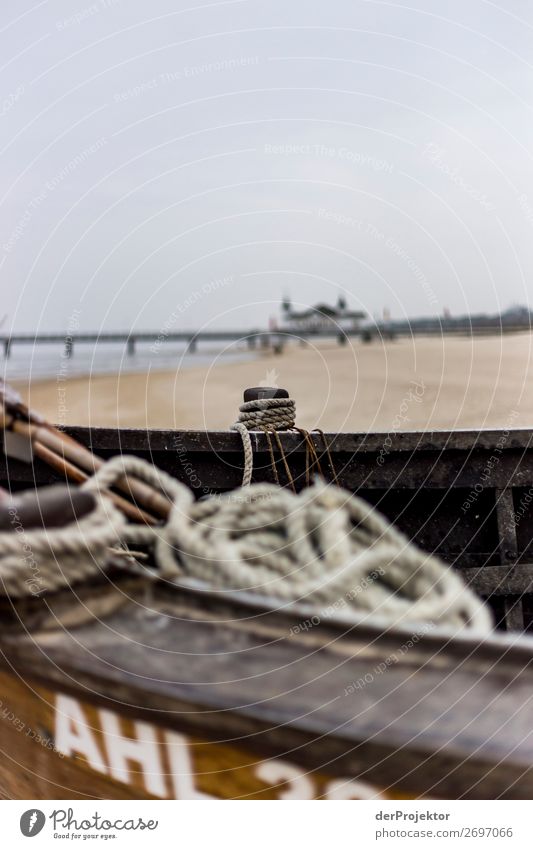 Fisherboat on Usedom Central perspective Shallow depth of field Contrast Shadow Light Day Copy Space middle Copy Space bottom Copy Space left Copy Space right