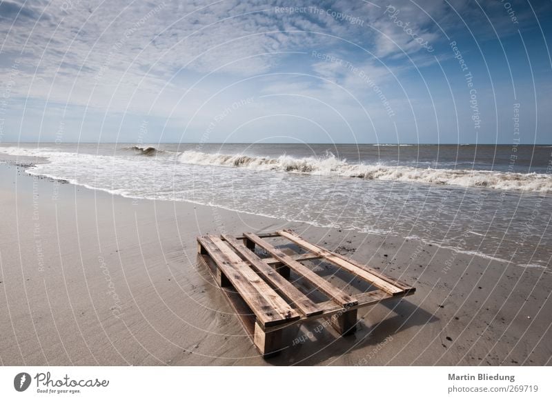 Strandgut#1 Landscape Elements Sand Water Waves Coast North Sea Far-off places Infinity Wet Natural Blue Brown White Denmark Vacation & Travel Vacation mood