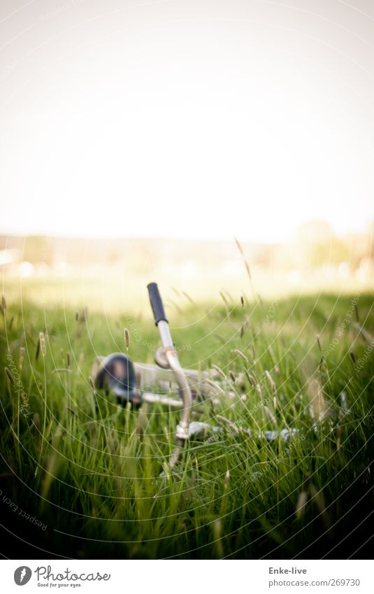 Vélo Plant Grass Meadow Means of transport Break Colour photo Exterior shot Deserted Copy Space top Blur Shallow depth of field Long shot Central perspective