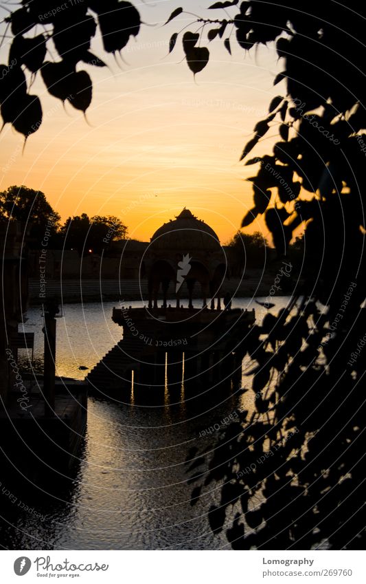 wie gemalt Vacation & Travel Tourism Sightseeing Nature Water Pond Lake Jaisalmer India Asia Perspective Gadi Sagar Gadisar Gadi Sagar Lake Exterior shot