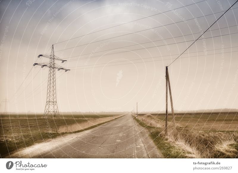 loyal to the party line Environment Nature Landscape Sky Clouds Storm clouds Horizon Spring Autumn Bad weather Grass Street Lanes & trails Brown Gray Green