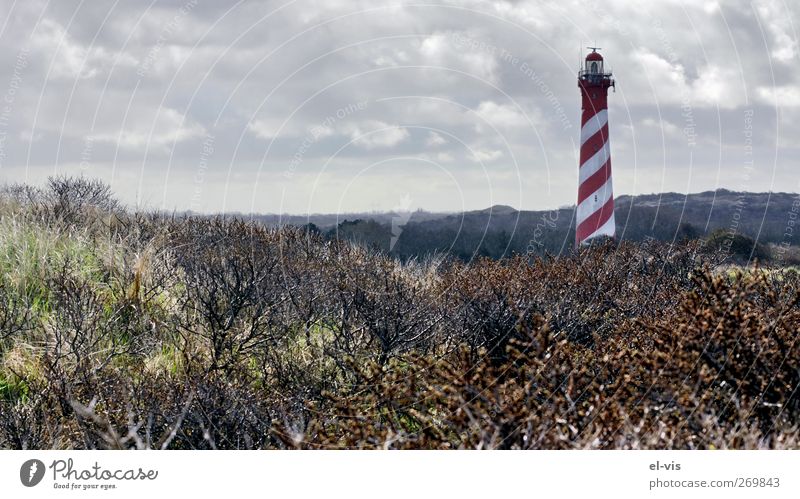 Lighthouse on Schouwen-Duivland, Zeeland, Holland Beach Landscape Sky Clouds Storm clouds Spring Weather Bad weather Bushes Hill North Sea Schouwen Duiveland