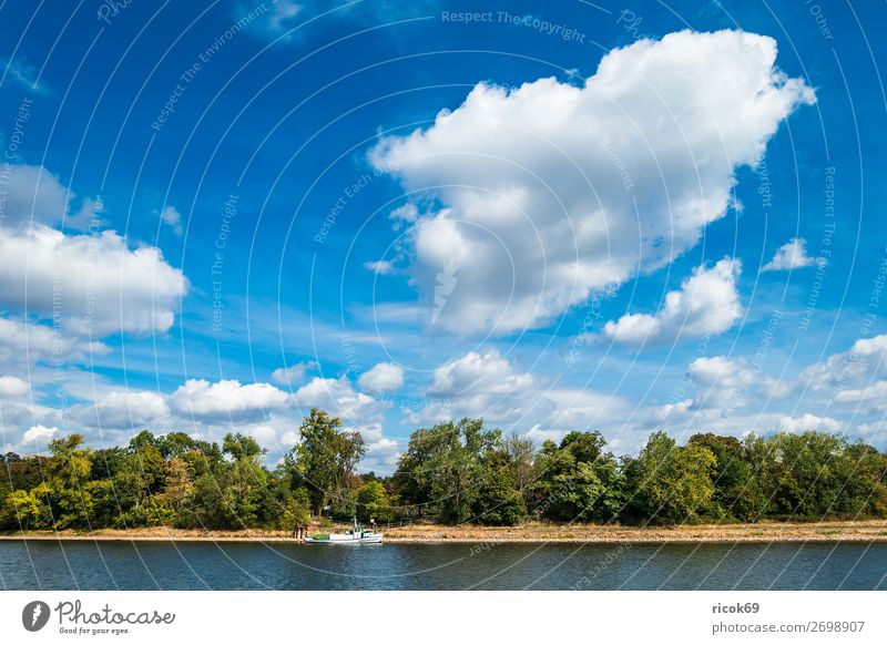 View over the river Elbe in Magdeburg Vacation & Travel Tourism Nature Landscape Water Clouds Tree River Tourist Attraction Ferry Watercraft Blue Environment