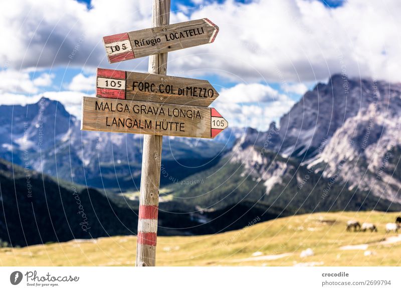 # 795 Three peaks Dolomites Sexten Dolomites World heritage High plain Colour photo Hiking Footpath Peak Mountaineering Alps Beautiful weather Meadow Summer Sun