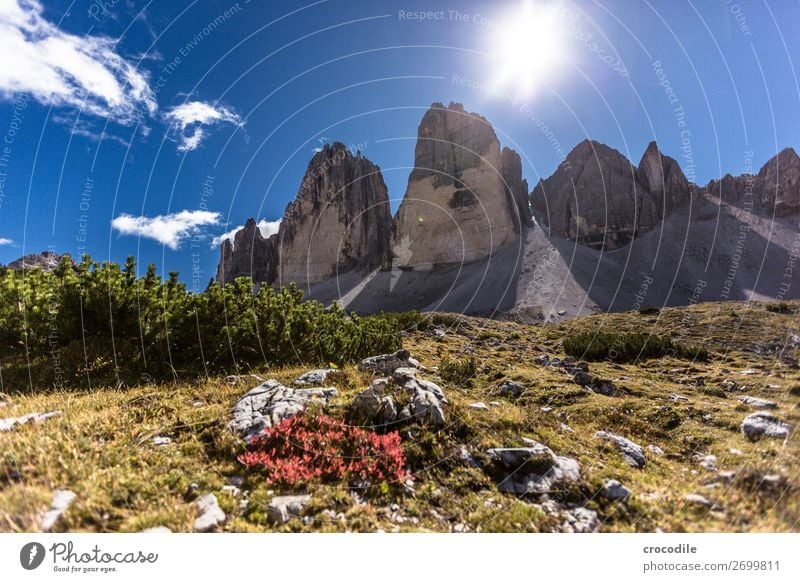 #781 Three peaks Dolomites Sexten Dolomites World heritage High plain Colour photo Hiking Footpath Peak Mountaineering Alps Beautiful weather Meadow Summer