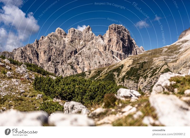 # 832 Three peaks Dolomites Sexten Dolomites World heritage High plain Colour photo Hiking Footpath Peak Mountaineering Alps Beautiful weather Meadow Summer Sun