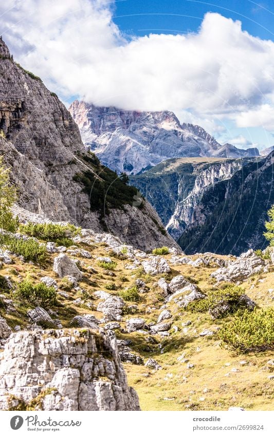 Dolomites Three peaks Sexten Dolomites World heritage High plain Colour photo Hiking Footpath Peak Mountaineering Alps Beautiful weather Meadow Summer Sun