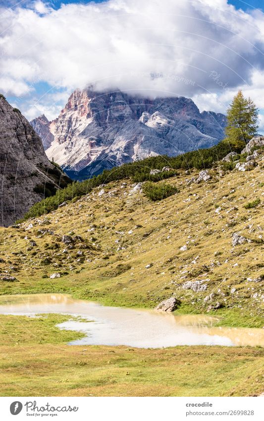 # 825 Three peaks Dolomites Sexten Dolomites World heritage High plain Colour photo Hiking Footpath Peak Mountaineering Alps Beautiful weather Meadow Summer Sun