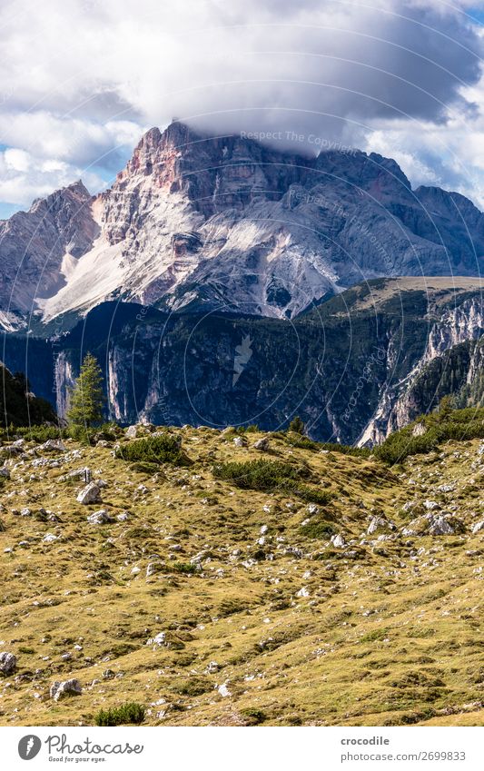 # 820 Three peaks Dolomites Sexten Dolomites World heritage High plain Colour photo Hiking Footpath Peak Mountaineering Alps Beautiful weather Meadow Summer Sun