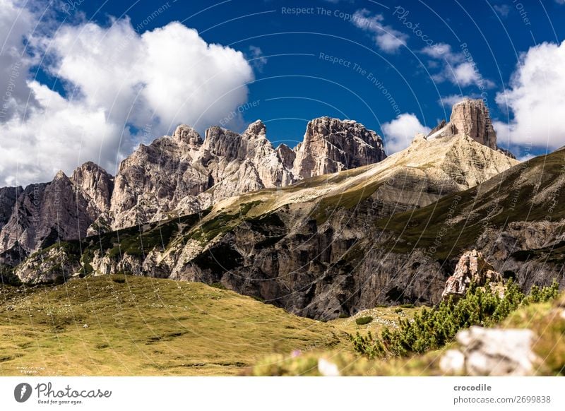 Dolomites Three peaks Sexten Dolomites World heritage High plain Colour photo Hiking Footpath Peak Mountaineering Alps Beautiful weather Meadow Summer Sun