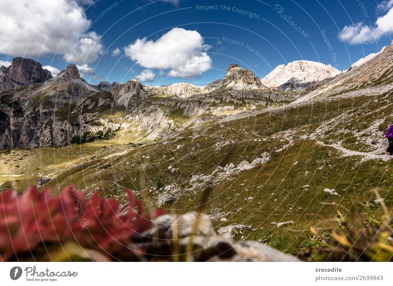 # 816 Three peaks Dolomites Sexten Dolomites World heritage High plain Colour photo Hiking Footpath Peak Mountaineering Alps Beautiful weather Meadow Summer Sun