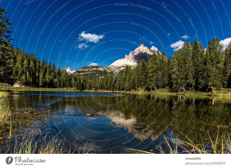 # 788 Three peaks Dolomites Sexten Dolomites World heritage High plain Colour photo Hiking Footpath Peak Mountaineering Alps Beautiful weather Meadow Summer Sun