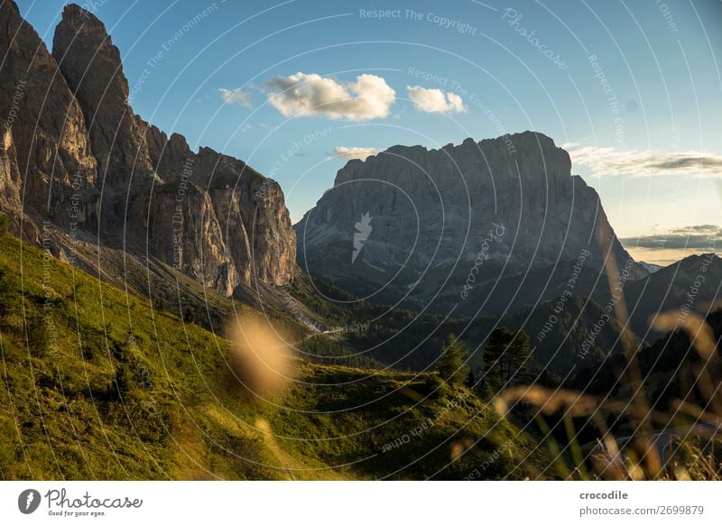 Grödenerjoch with view to the Langkofel Grödener Joch Mountain Dolomites South Tyrol mountain road road trip Sunset Idyll Summer vacation Hiking Mountaineering