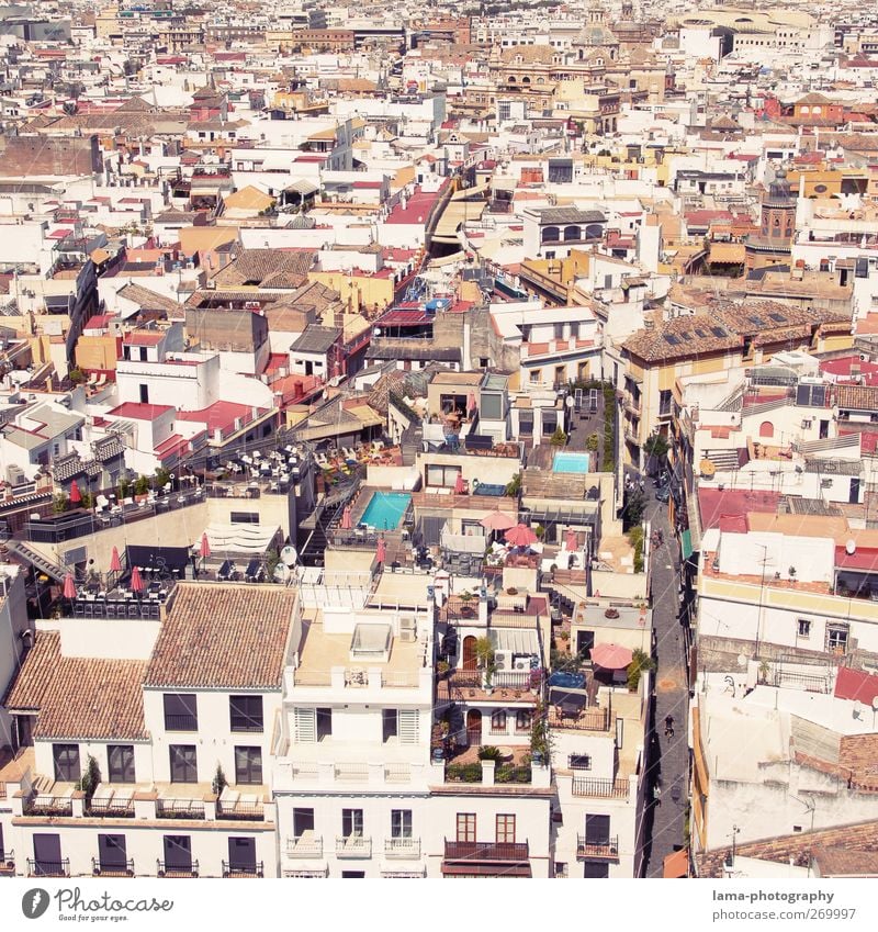 Mosaico [XLIV] Seville Andalucia Spain Town Downtown Pedestrian precinct Populated Overpopulated House (Residential Structure) Building Architecture Roof Street