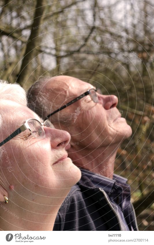 Seniors enjoy the spring sun Harmonious Well-being Contentment Senses Relaxation Calm Trip Human being Masculine Feminine Female senior Woman Male senior Man