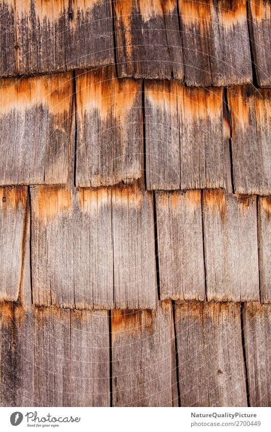 Old wood texture background detail plant stump frame bark top paint dried parquet tiled grey border pallet horizontal object scratchedwood beautiful flooring