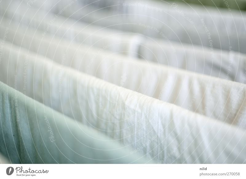 washing day Clothing T-shirt Shirt Laundry White Washing white linen Clean Fresh Bright Cotheshorse Wrinkles Soft Hang up Colour photo Subdued colour