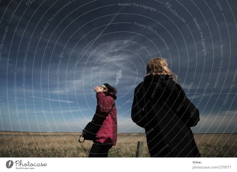 Hiddensee | On Bearing Young man Youth (Young adults) Woman Adults Body Back 2 Human being Sky Beautiful weather Meadow Observe Looking Stand Uniqueness