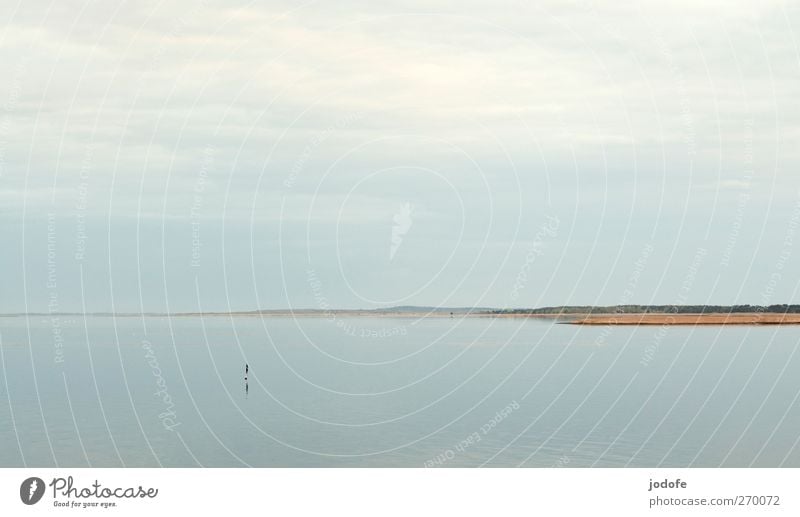 Hiddensee so close and yet so far... Environment Nature Landscape Coast Gloomy Ocean Water Far-off places Heaven Clouds in the sky Common Reed Colour photo