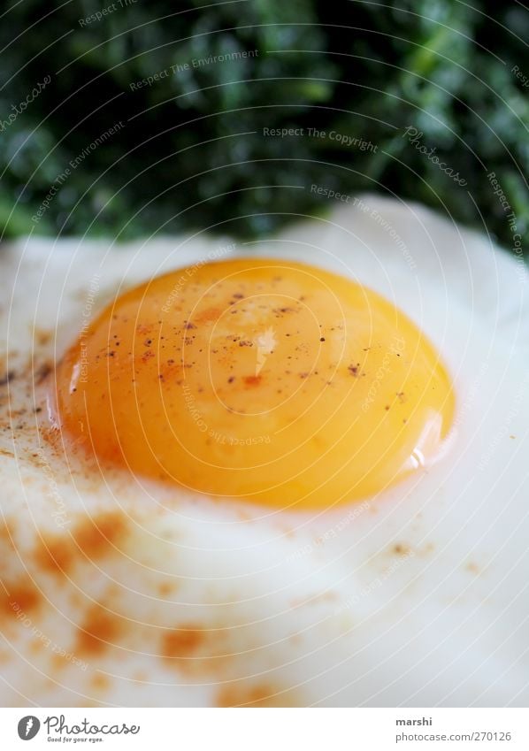 Fried egg for breakfast Food Nutrition Breakfast Lunch Dinner Yellow Green White Fried egg sunny-side up Egg Spinach Protein Yolk Spicy Appetite Delicious Tasty