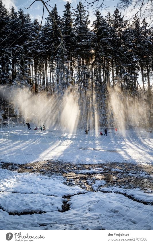 Tobogganing at Wurmberg in the Harz Mountains Vacation & Travel Tourism Trip Freedom Winter vacation Hiking Environment Nature Landscape Plant Beautiful weather