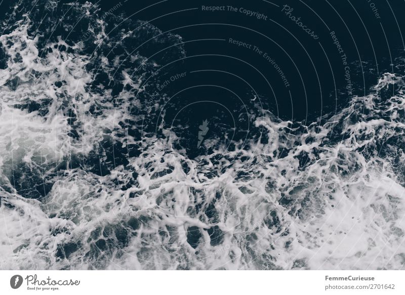 View to waves caused by ferry Nature Movement Power Ocean Atlantic Ocean Water Foam Waves Colour photo Exterior shot Copy Space top