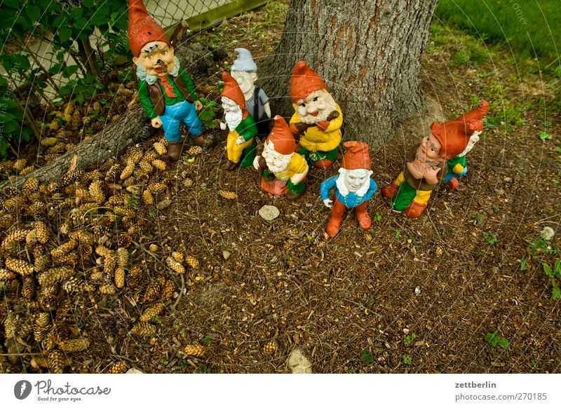 Seven dwarfs (plus a reserve) Lifestyle Style Leisure and hobbies Playing Living or residing Garden Town Kitsch Berlin Garden plot urban Suburb wallroth