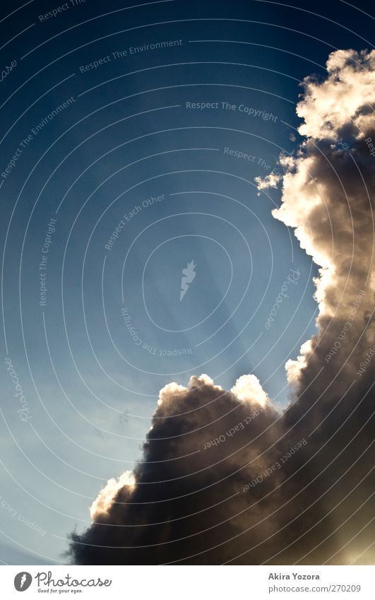 Heaven up Environment Sky Clouds Sunlight Weather Beautiful weather Touch Illuminate Bright Blue Gray White Optimism Colour photo Exterior shot Detail Deserted