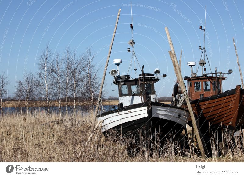 two old wooden fishing boats standing in the grass next to a body of water Environment Nature Landscape Plant Water Cloudless sky Winter Beautiful weather tree