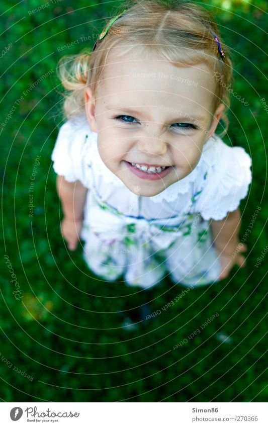 grinning cat Dress Hair barrette Blonde Short-haired Curl Smiling Brash Happiness Happy Beautiful Astute Near Cute Smart Moody Joy Contentment