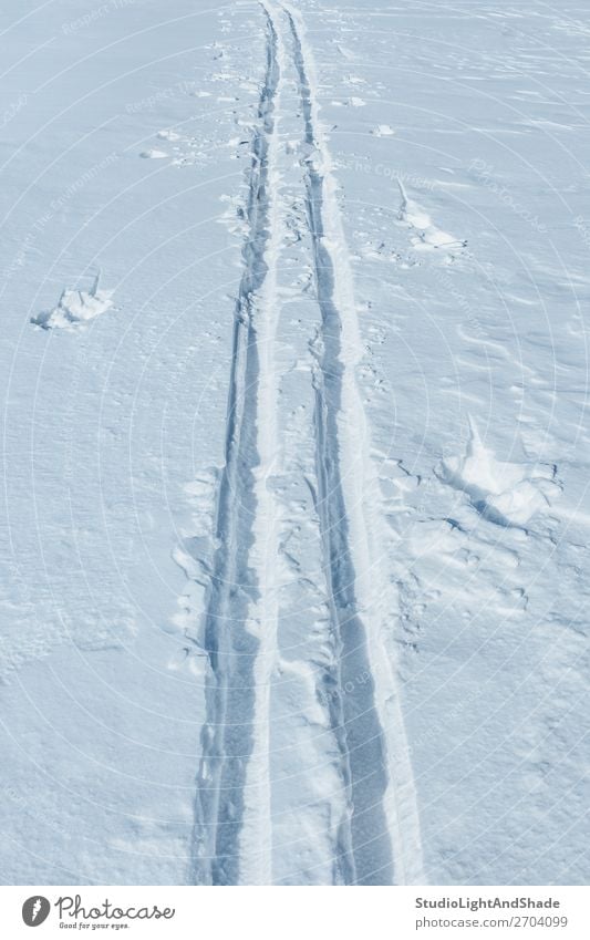 Ski tracks in the snow Lifestyle Relaxation Winter Snow Sports Nature Lanes & trails Animal tracks Fresh Natural White ski Practice healthy Action Seasons