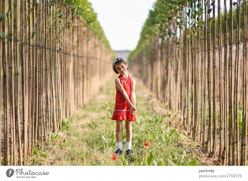 Little girl walking in nature field wearing beautiful dress Lifestyle Joy Happy Beautiful Playing Summer Child Human being Feminine Girl Woman Adults Infancy 1