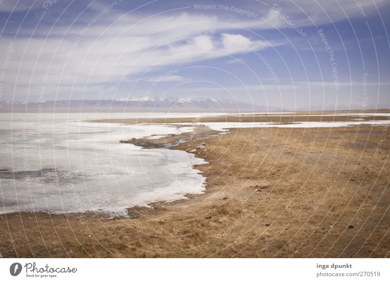 On the shore of the Ice Lake Environment Nature Landscape Elements Earth Sand Water Winter Climate Frost Drought Lakeside Desert China Himalayas Mountain Cold