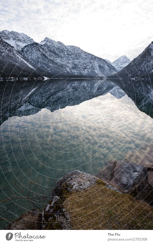 Winter Lake Plansee in Tyrol Snow Winter vacation Mountain Hiking Nature Landscape Water Sky Clouds Beautiful weather Rock Alps Peak Snowcapped peak Lakeside