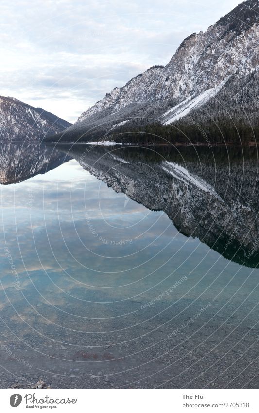 Superficial approach Well-being Nature Landscape Plant Water Sky Clouds Winter Snow Lakeside Austria Federal State of Tyrol Europe Deserted Inland navigation