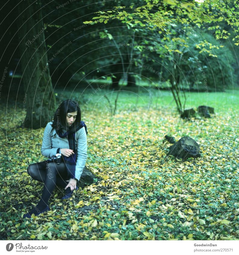 Leaves. Human being Feminine Young woman Youth (Young adults) 1 Environment Nature Autumn Park Think To hold on Sit Dream Wait Authentic Cold Moody Colour photo