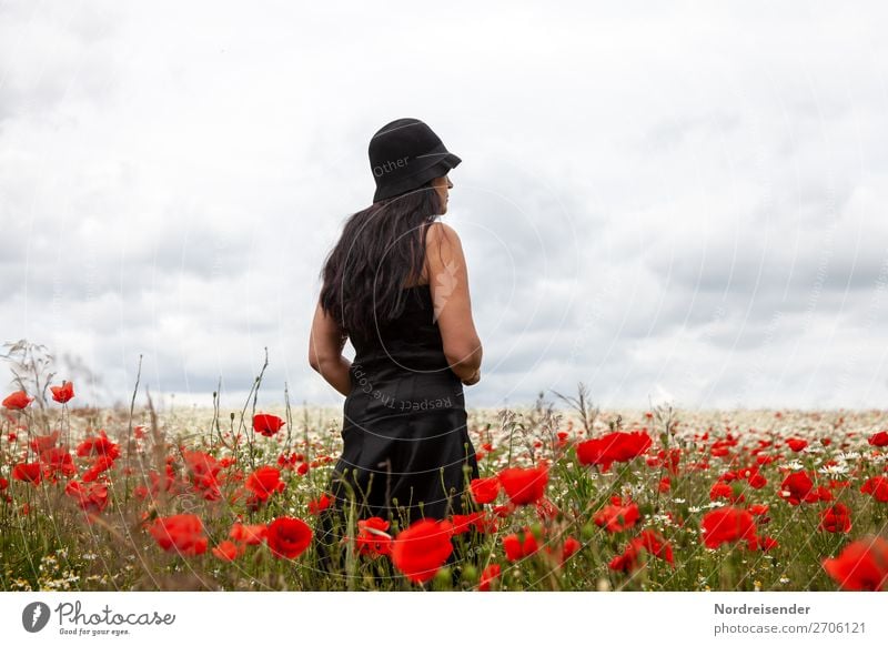 Dreamy view into the distance Harmonious Senses Calm Meditation Trip Human being Feminine Woman Adults Nature Landscape Plant Clouds Summer Flower Field Dress