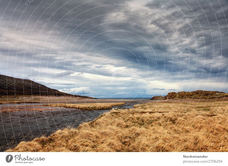 estuary at the Barents Sea Vacation & Travel Adventure Far-off places Ocean Nature Landscape Elements Air Water Sky Storm clouds Spring Autumn Climate Grass