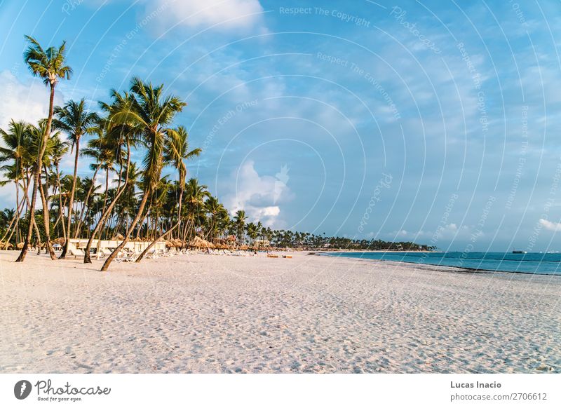 Bavaro Beaches in Punta Cana, Dominican Republic Vacation & Travel Tourism Summer Ocean Island Environment Nature Sand Tree Leaf Coast Wanderlust America