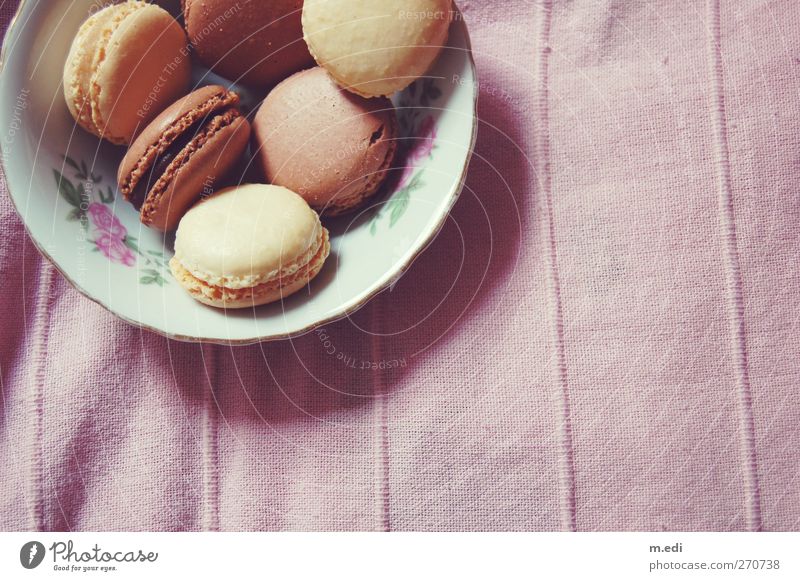 bowl full of pleasure Dough Baked goods Dessert Candy To have a coffee Kitsch Pink Colour photo Interior shot