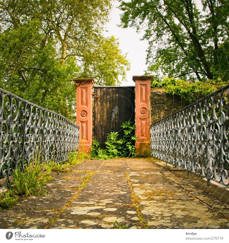 Forgotten ways Nature Spring Summer Plant Tree Park Bridge Door Lanes & trails Old Esthetic Authentic Historic Town Decline Past Change Handrail