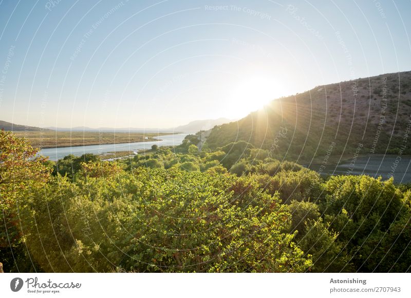 evening Environment Nature Landscape Plant Sky Cloudless sky Horizon Sun Sunrise Sunset Sunlight Summer Weather Beautiful weather Warmth Tree Leaf Forest Hill