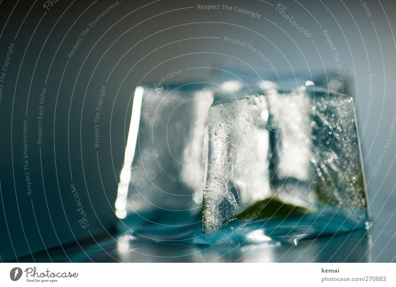 icy Food Ice cube Beverage Star (Symbol) Cold Wet Frozen Enclosed Wrap Colour photo Subdued colour Interior shot Close-up Detail Deserted Day Evening Light