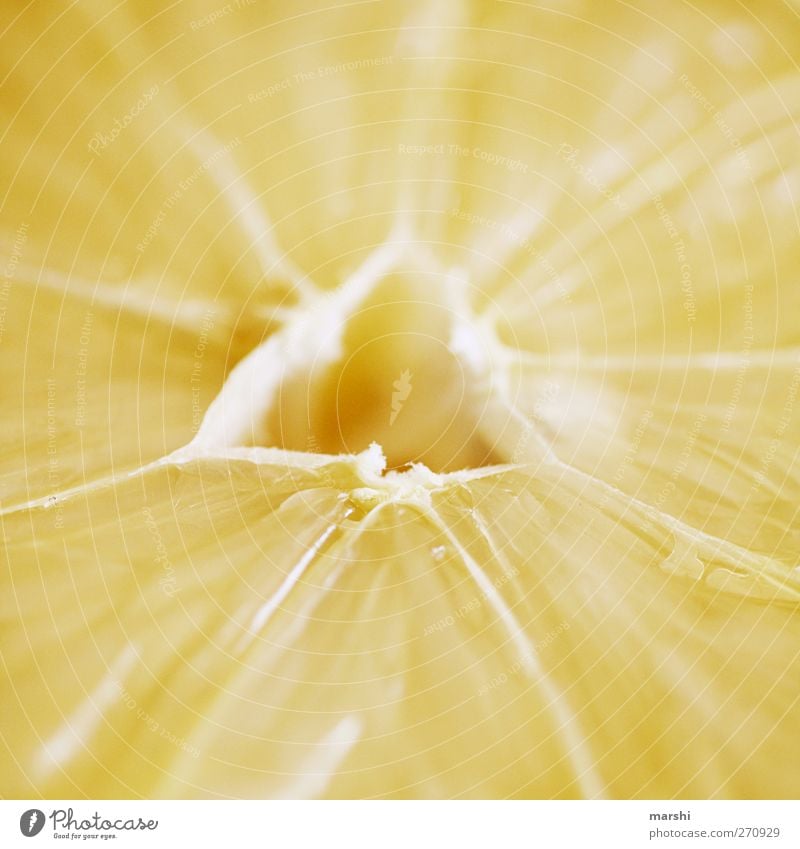 > Acid < Food Fruit Nutrition Sour Yellow Lemon Lemon yellow Slice of lemon Triangle Citrus fruits Fresh Colour photo Close-up Detail Macro (Extreme close-up)