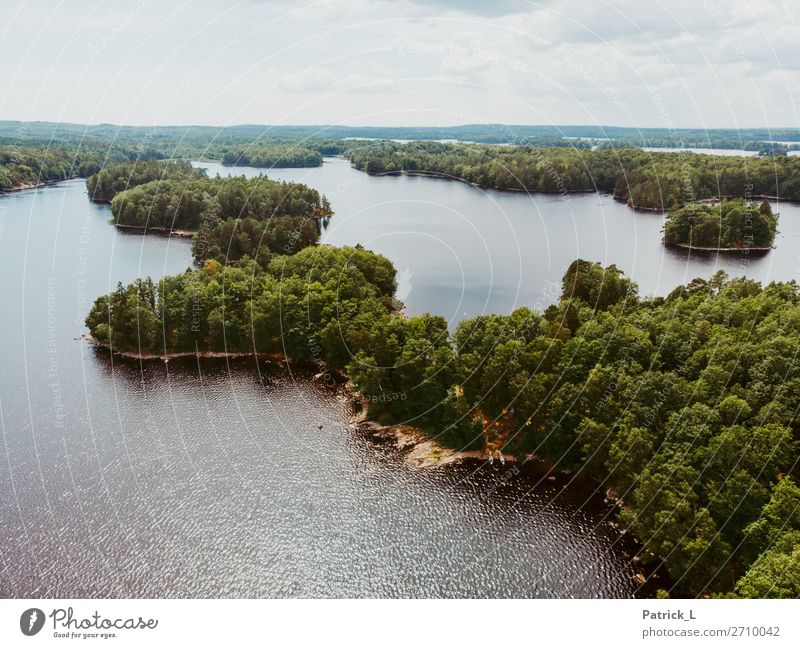 water migration Environment Nature Landscape Elements Water Summer Tree Forest Lakeside Island Sweden Deserted Canoeing Canoe trip Discover Free Large Infinity