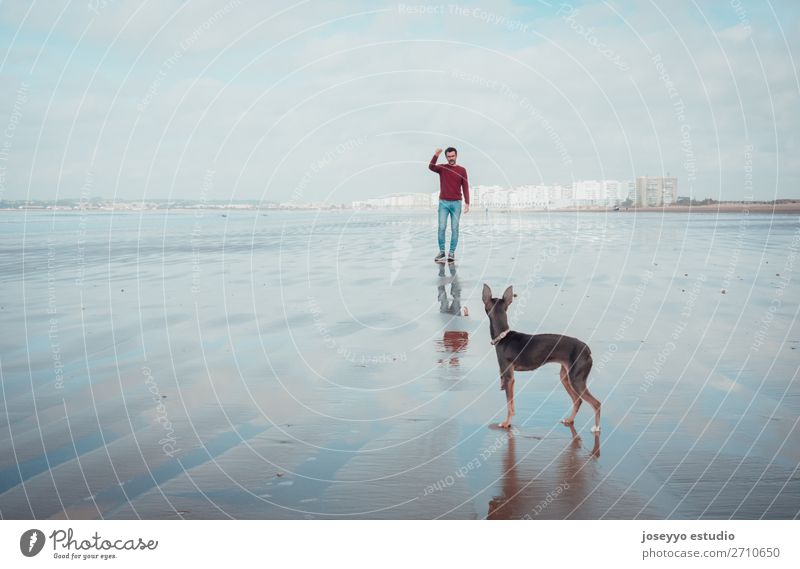 Man and his small dog on the beach at low tide Lifestyle Beautiful Relaxation Far-off places Beach Ocean Winter Adults Friendship Nature Landscape Sand Sky