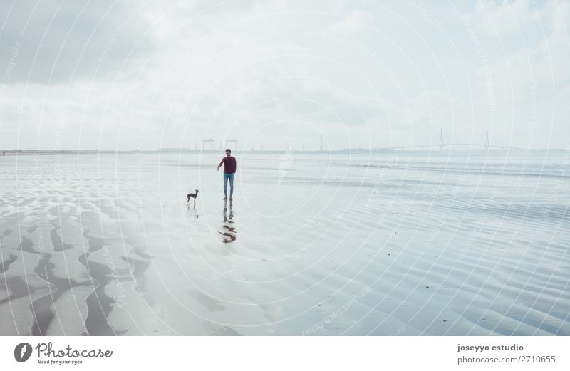 Man and his small dog walking on the beach Lifestyle Relaxation Beach Winter Adults Friendship Nature Landscape Sand Horizon Bridge Jeans Brunette Dog Love Blue