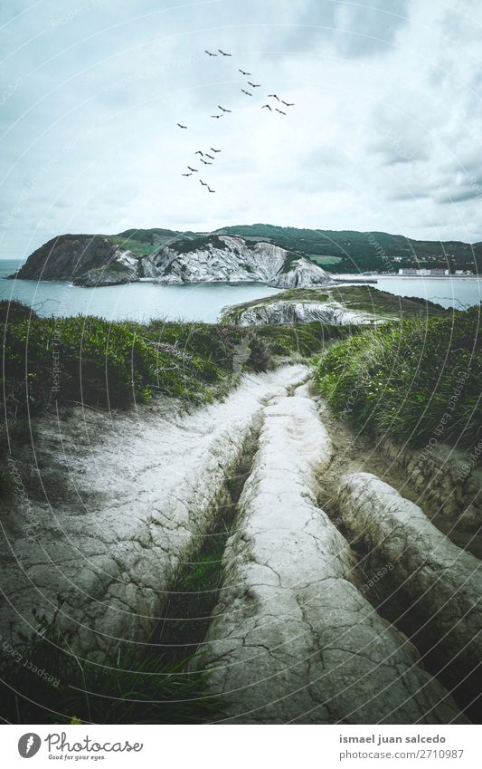 cliff and sea in the coast in the nature Cliff Rock Ocean water Coast Beach Nature Exterior shot Vacation & Travel Destination Places Landscape Horizon