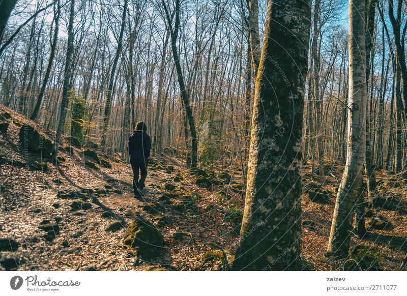 A girl walking in an autumnal landscape through a forest Relaxation Meditation Vacation & Travel Tourism Adventure Hiking Human being Woman Adults Nature