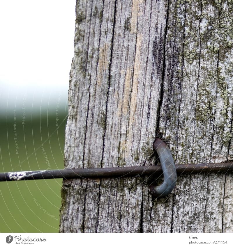 Lifelines #44 Agriculture Forestry Field Wire Fence Fastening Wood Metal Resolve Border Testing & Control Weathered Old Moss Structures and shapes Colour photo